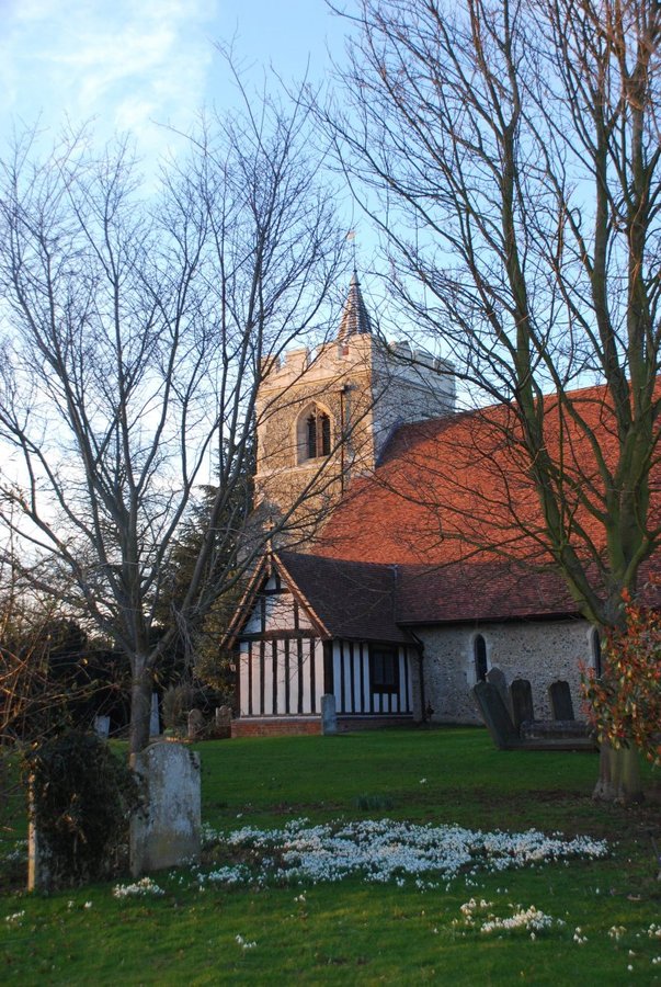 Snowdrops in the church yard